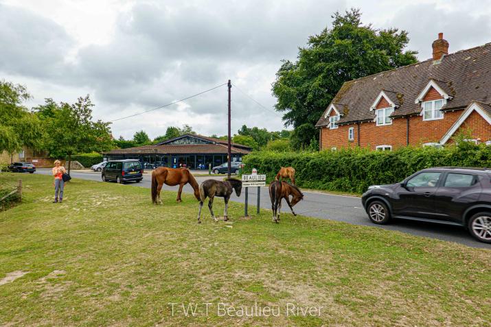 Beaulieu village entrance from the West
