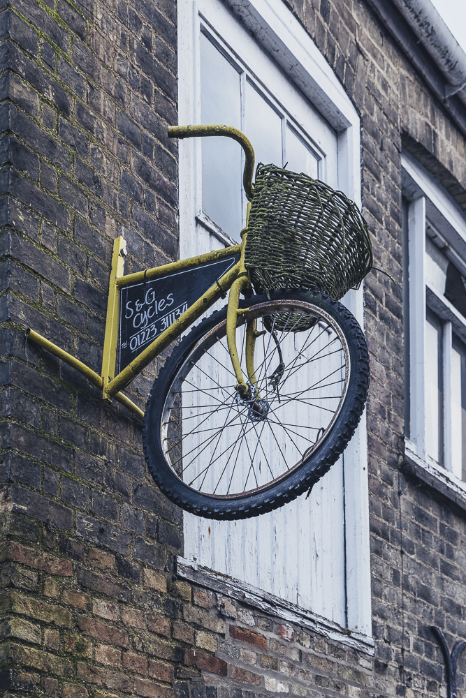 Bicycles everywhere