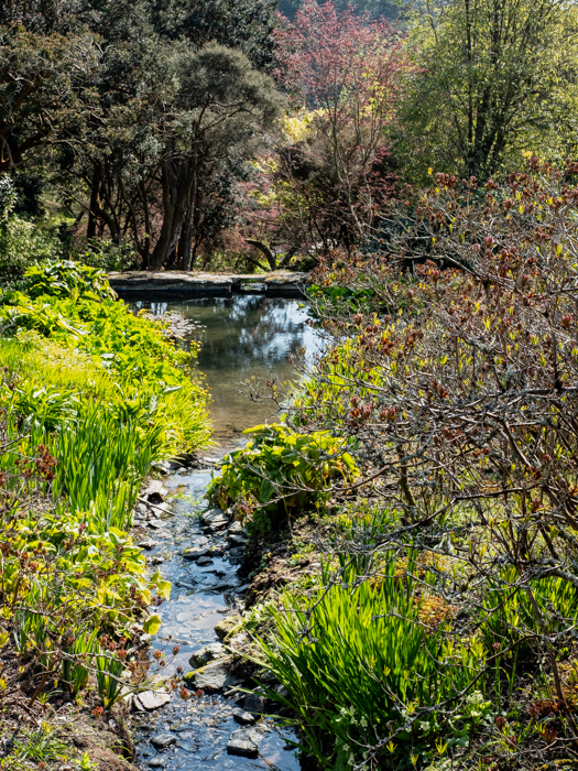 Coleton stream