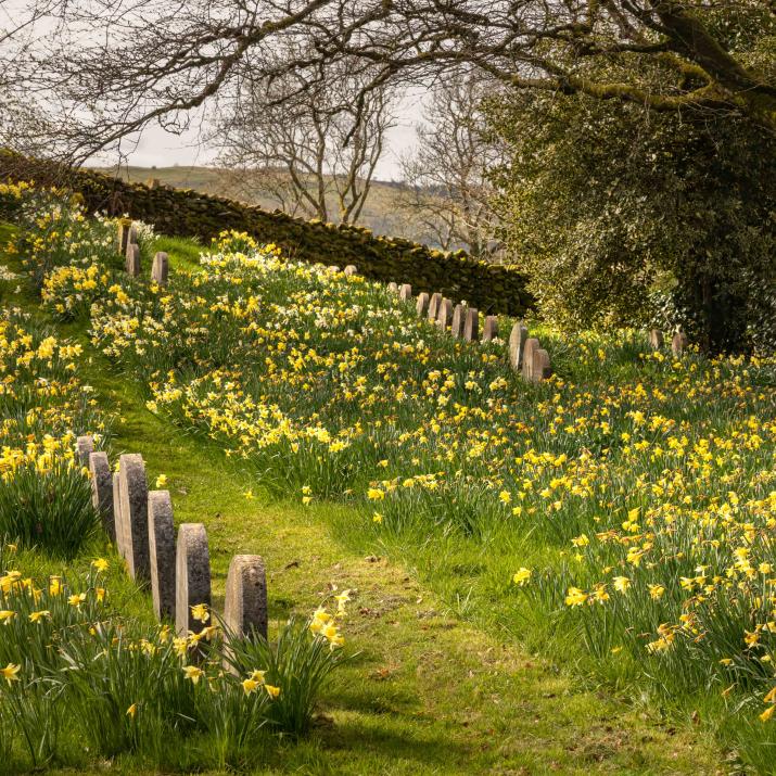 Burial ground