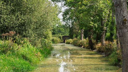 Canal and Bridge