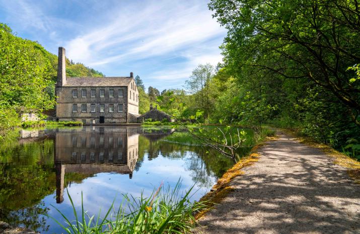 Sunny Gibson Mill