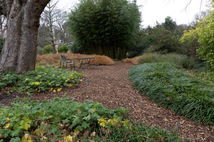 Paths in the gardens