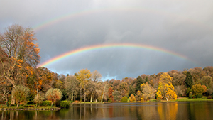 Lakeside view