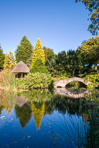 View over pond with small bridge Ness Botanic Gardens