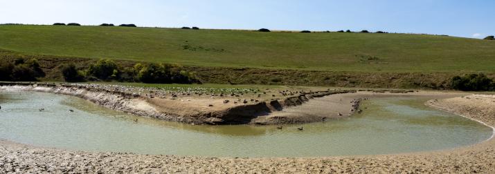 A meandering river at low tide.