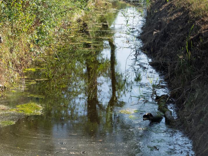 A drainage channel