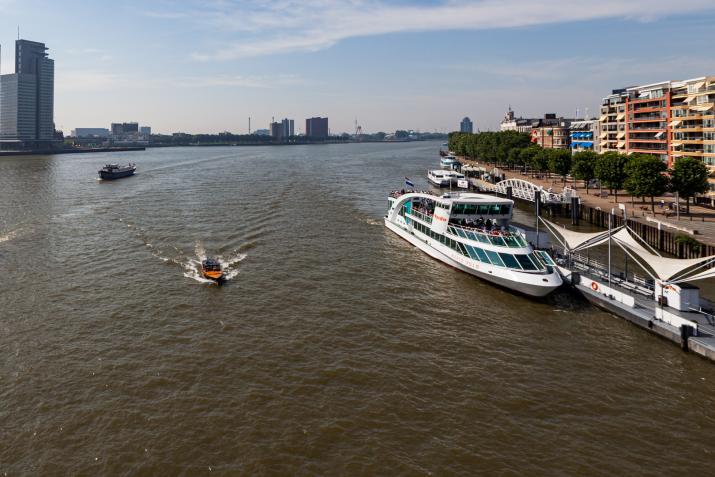Willemskade, Erasmus Bridge, Rotterdam
