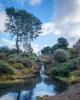 View of the Botanics