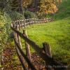 Fence between lawn and woodland