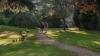 Sydney Gardens Benches