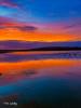 Bewl Water at Sunset 