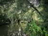 Bend on the River Leam