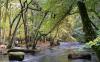 The river Teign in autumn