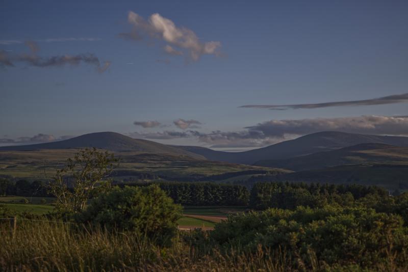 A view of the Cheviot Hills from the walk.