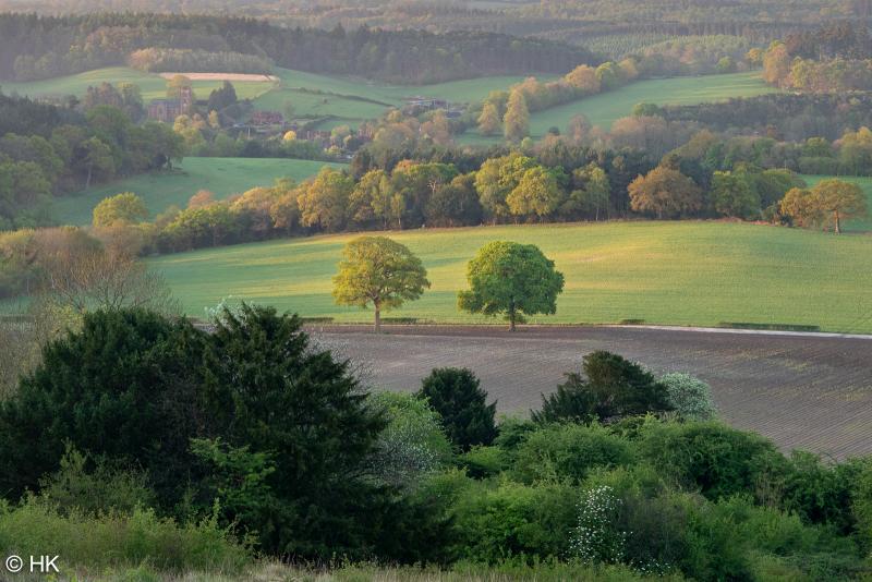 At Newlands Corner, we can take in the view across the Tillingbourne Valley