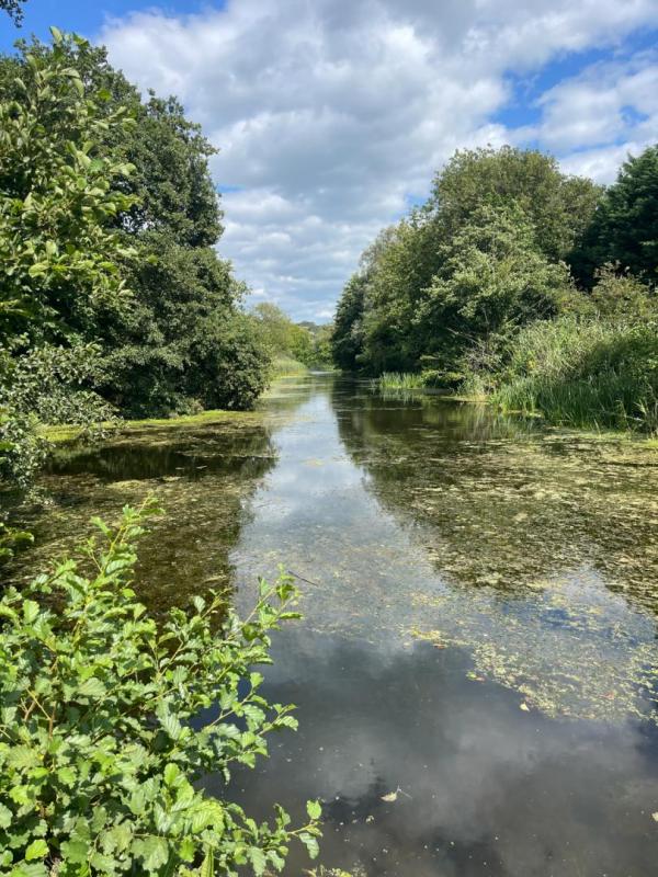 View of the Royal Military Canal