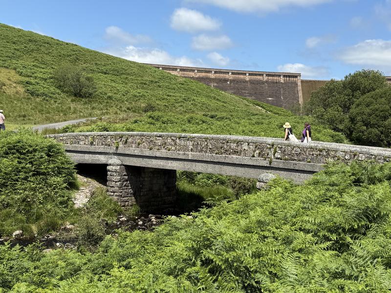 Avon bridge and dam