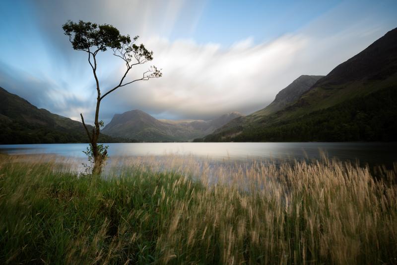 The lone tree, Buttermere