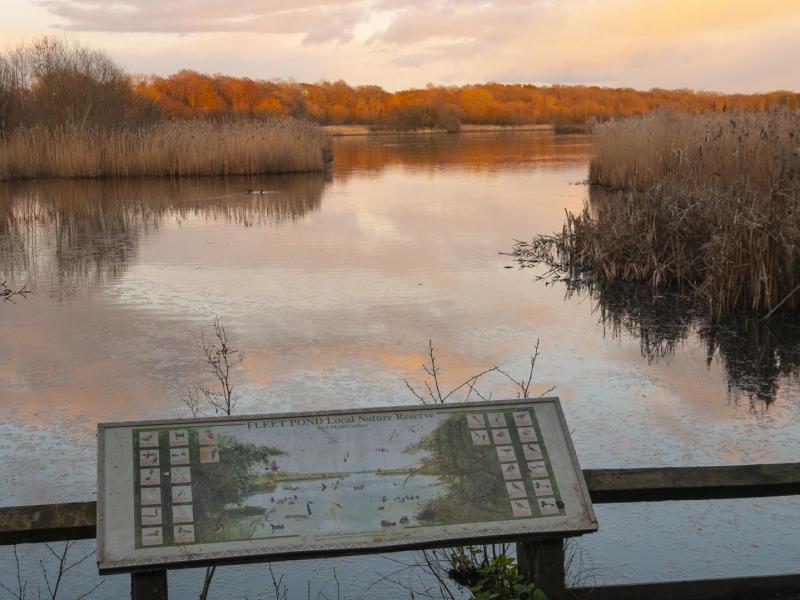 Late Autumn afternoon at Fleet Pond