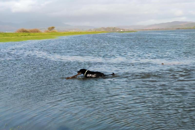 A spring tide in a mountain setting.