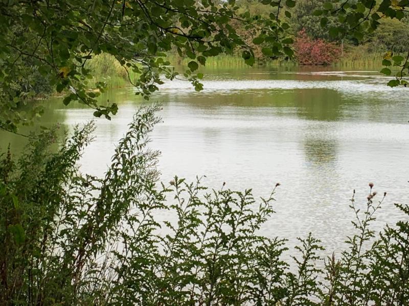 Birnie Loch