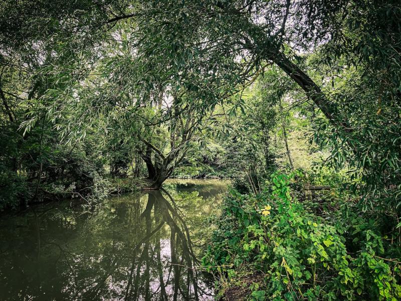 Bend on the River Leam