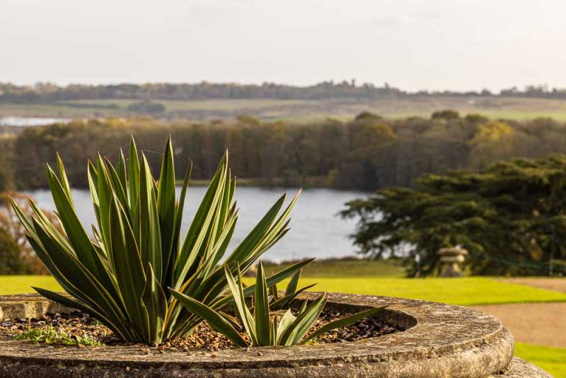 View from Gatton Hall towards the lake