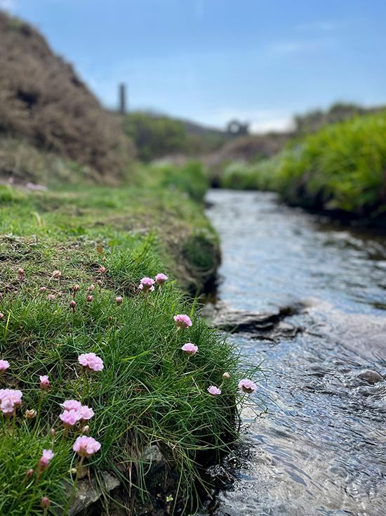 A stream running through a valley